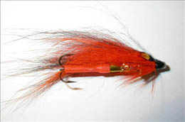 Mosquito JC Mini PT's