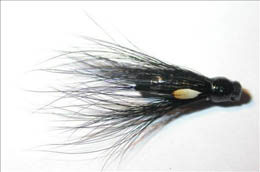 Silver Stoat JC Mini PT's
