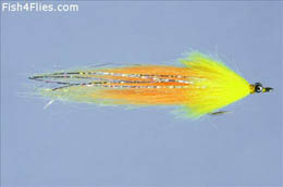 CF Whistler Yellow and Orange