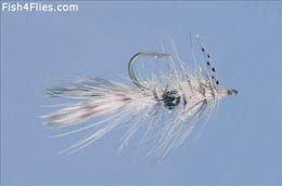 Alf Shrimp Pearl