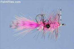 Alf Shrimp Pink