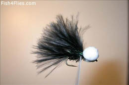 Black Body and Black Tail