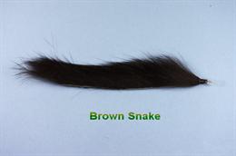 Brown Snake