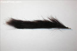 Brown Snake