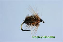 Coch y Bondhu