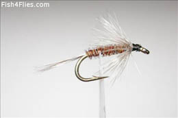 Pheasant Tail