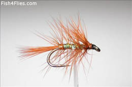 Wickham's Spider