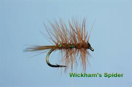 Wickham's Spider