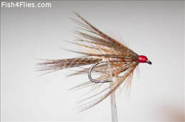 Silver Dabbler