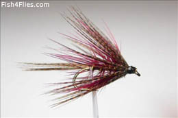 Claret Dabbler