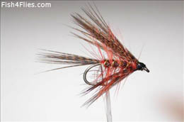 Fiery Brown Dabbler