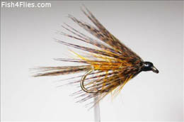 Golden Dabbler