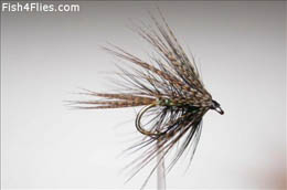 Cameragerie Dabbler
