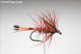Bumble Fiery Brown