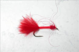 Unweighted Bloodworm