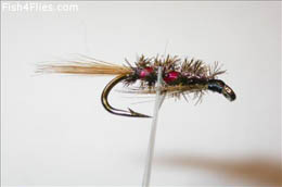 Diawl Bach Holo Red