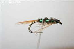 Diawl Bach Holo Green