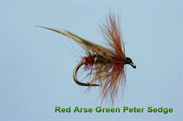 Red Arsed Green Peter Sedge