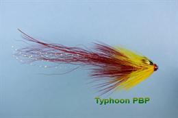 Pot Belly Piglet Typhoon JC