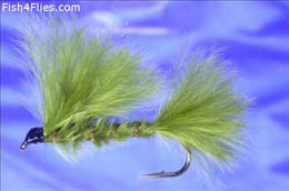 Olive Damsel