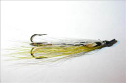 White and Yellow JC