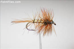 Wickham's Fancy Hackled