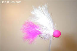 Floozy Pinkie