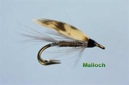 Malloch