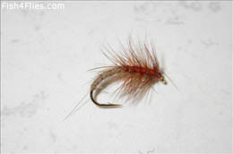 Orange and Grey Snatcher