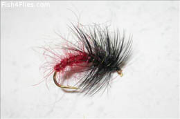 Black and Red Snatcher