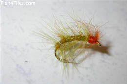 Green and Orange Snatcher