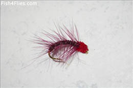 Claret Red Snatcher
