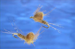 Golden CDC Emerger