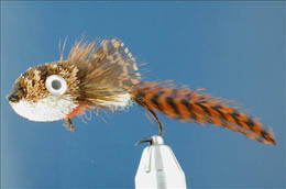 Mandy's Sculpin