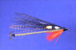 Gold and Hot Orange Snake