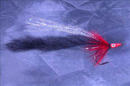 Tarpon Tamer Black and Red