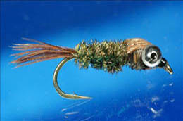 Bug Eyed Pheasant Tail