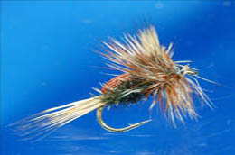 Elwes Mini Humpy