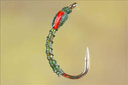 Olive And Gold Buzzer