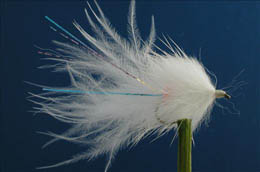 Apache White