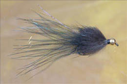 Apache Black