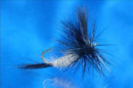Black Waterwalking Wulff