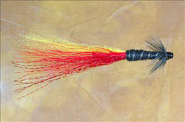 Tube Red and Yellow