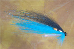 Blue Norseman Tube