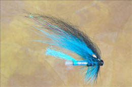 Blue and Black Tempelhund