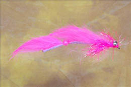 Bunny Leech Pink