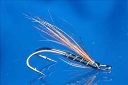 Willie Gunn LWD
