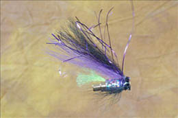 Purple Haze 