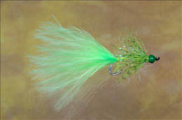 Chartreuse Darter