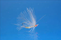 Stealth Blue Winged Olive